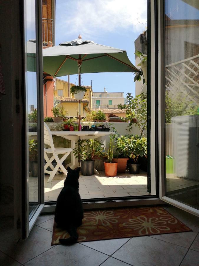 La Rondine Apartment *